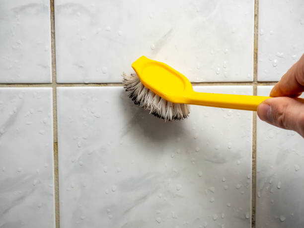 Certified Mold Removal in Cherokee, NC