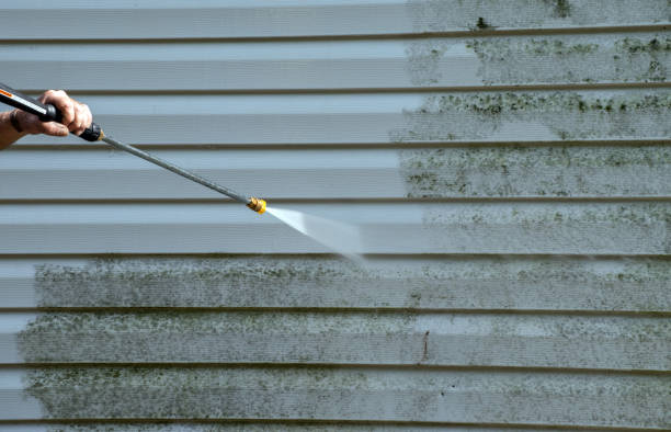 Best Black Mold Removal  in Cherokee, NC