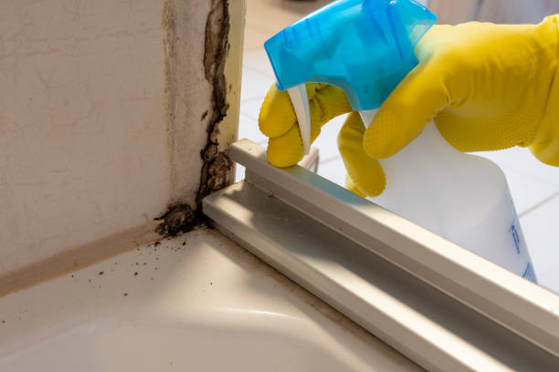 Best Professional Mold Removal  in Cherokee, NC