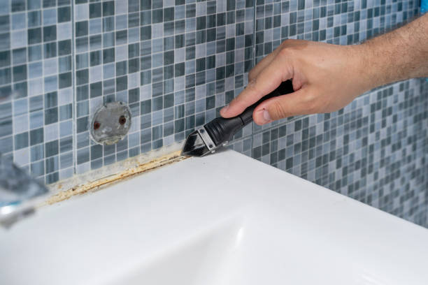  Cherokee, NC Mold Removal Pros