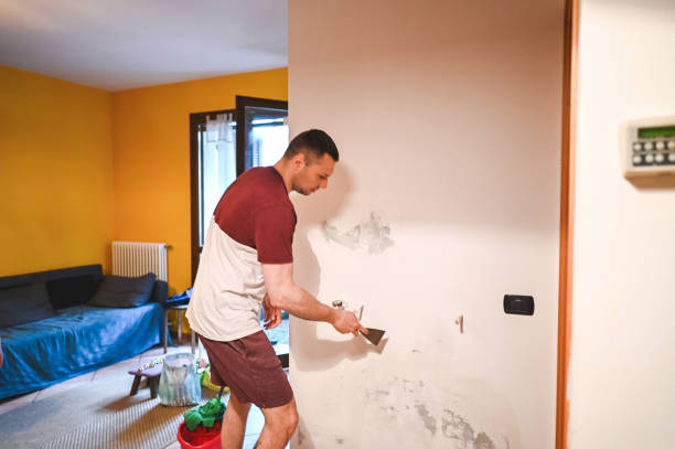 Cherokee, NC Mold Removal Company