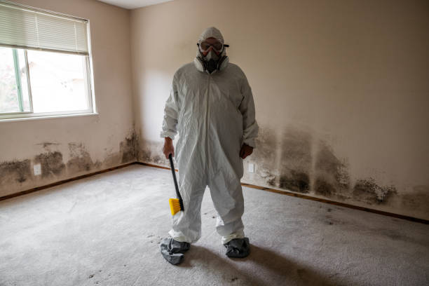 Best Mold Cleaning Services  in Cherokee, NC